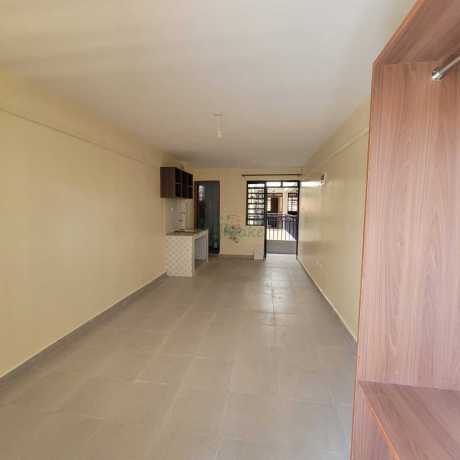 kasarani-bedsitter-spacious-big-3