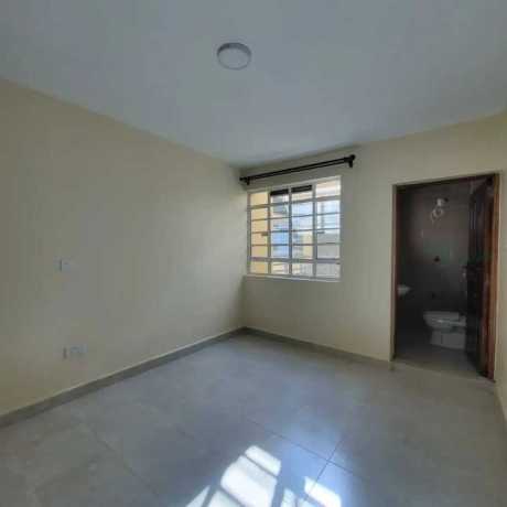 affordable-2bedroom-27k-ruiru-kamakis-big-6